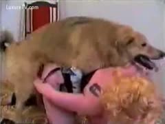 Slave zoophile and her dog